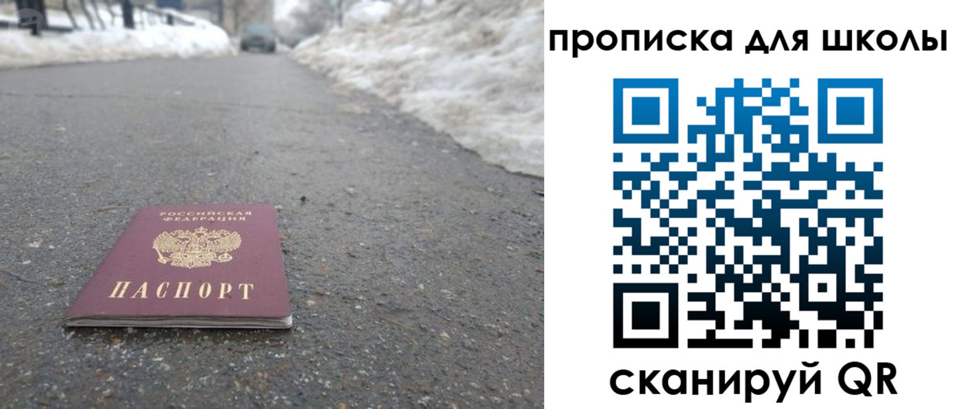 прописка для школы в Тимашёвске